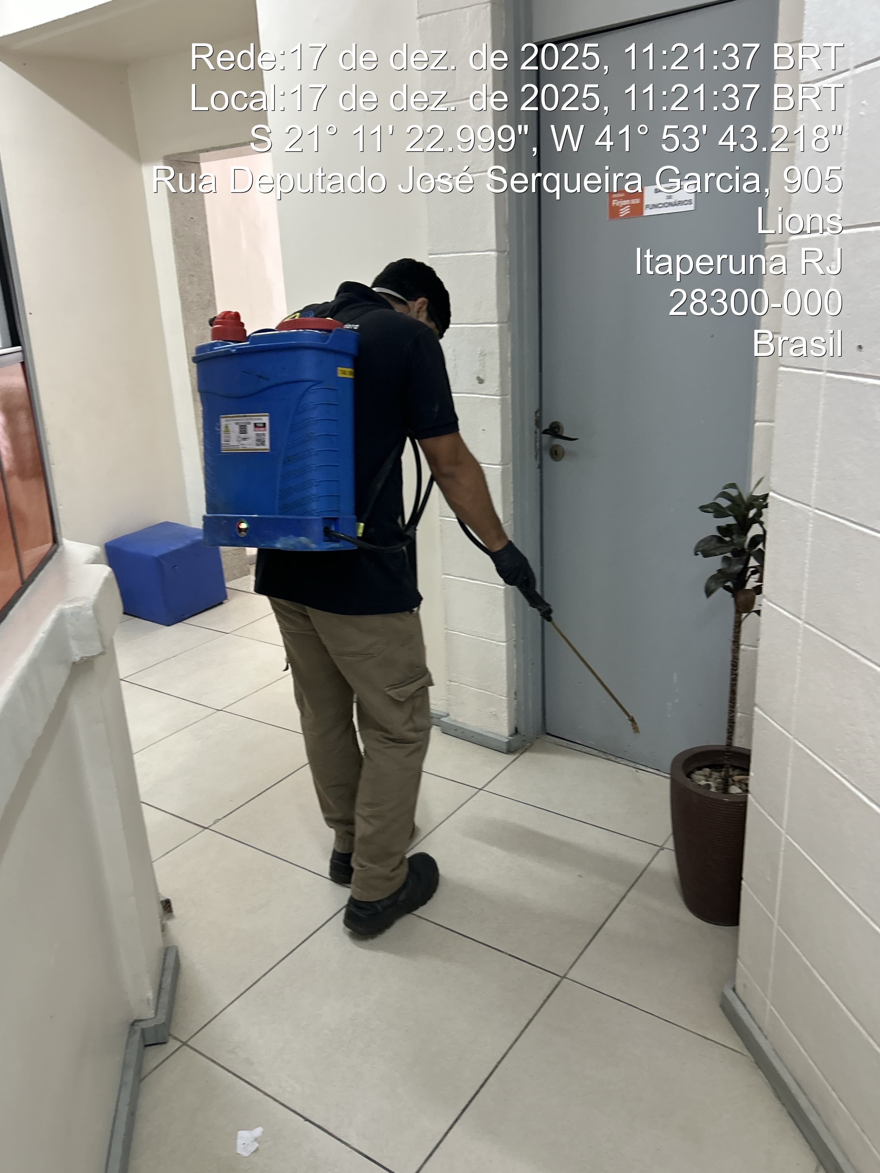 Descupinização em Campos dos Goytacazes: Como Funciona, Quando Fazer e Como Eliminar Cupins