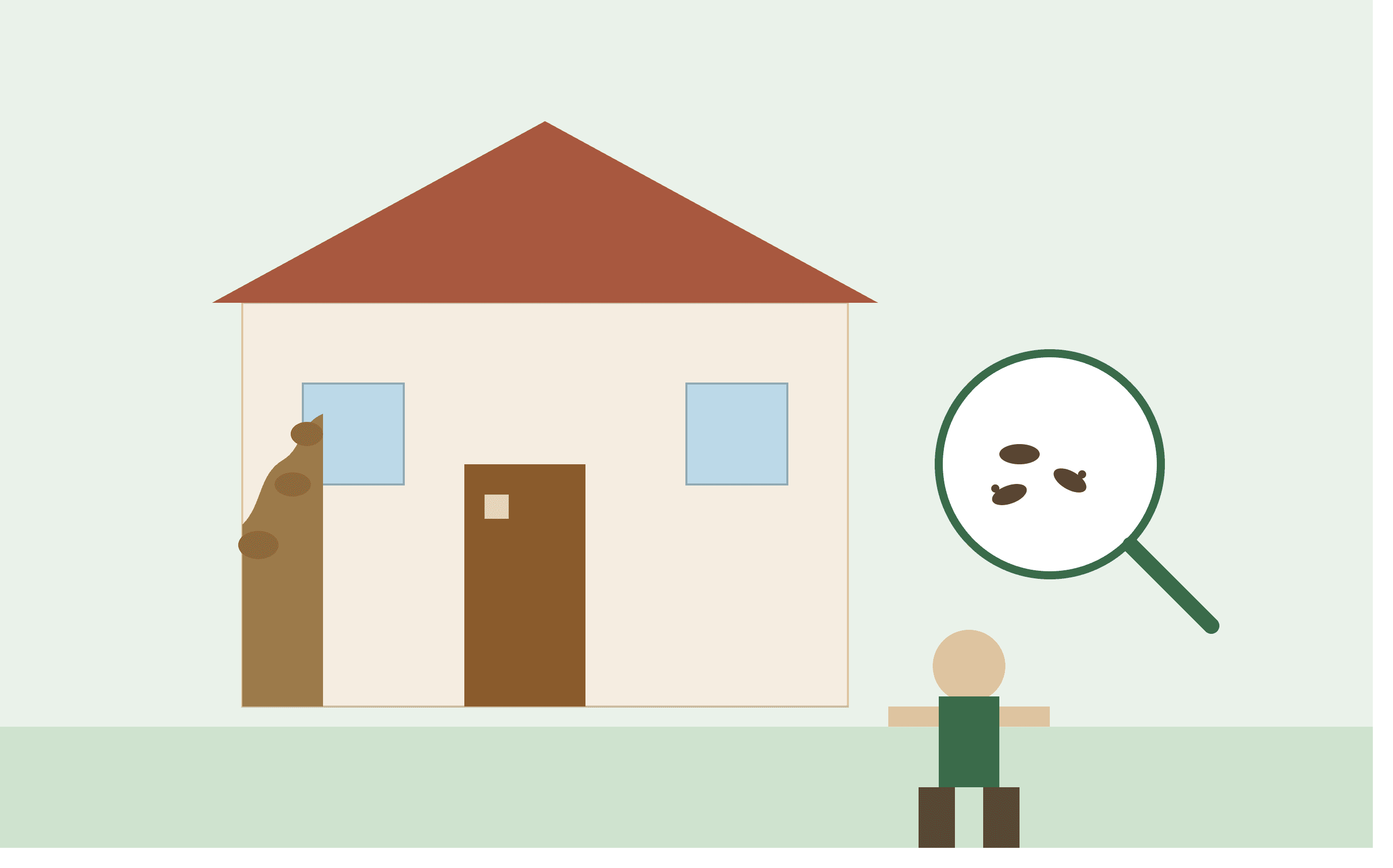 Tipos de Cupim: Guia Completo para Identificar em Casa