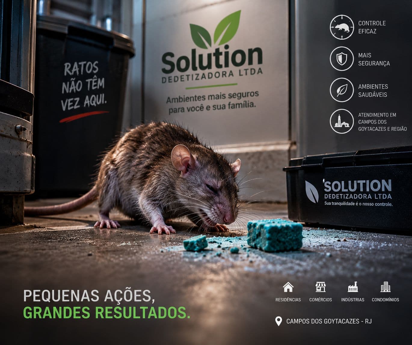 Dedetização em Campos dos Goytacazes | Solution Dedetizadora