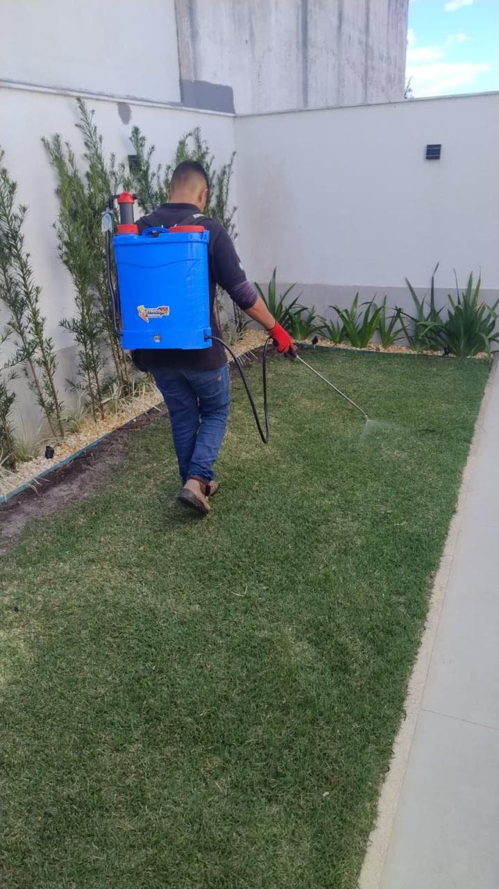 Descupinização em campos dos goytacazes: