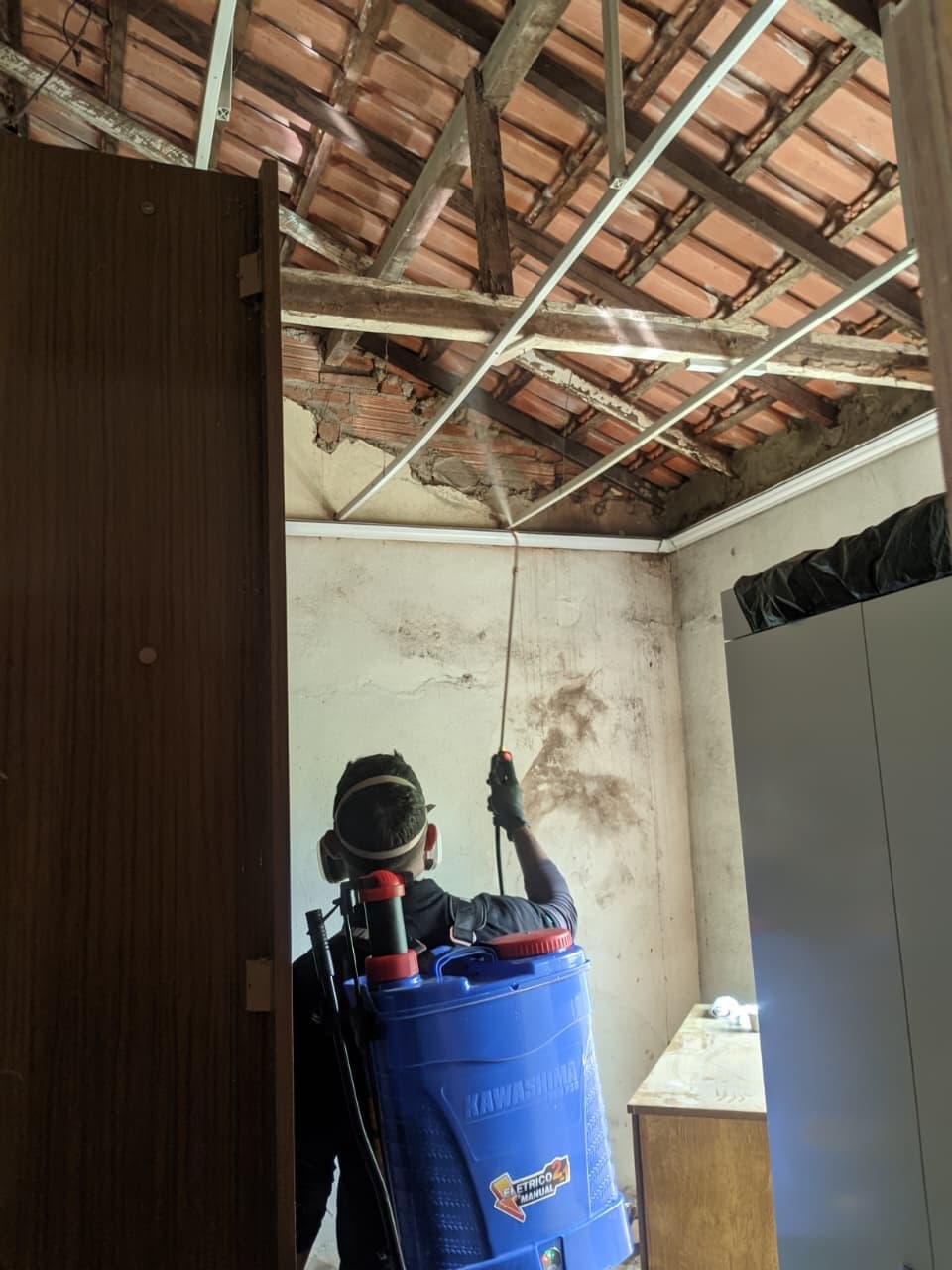 Preço da Dedetização Residencial em Campos dos Goytacazes | Solution