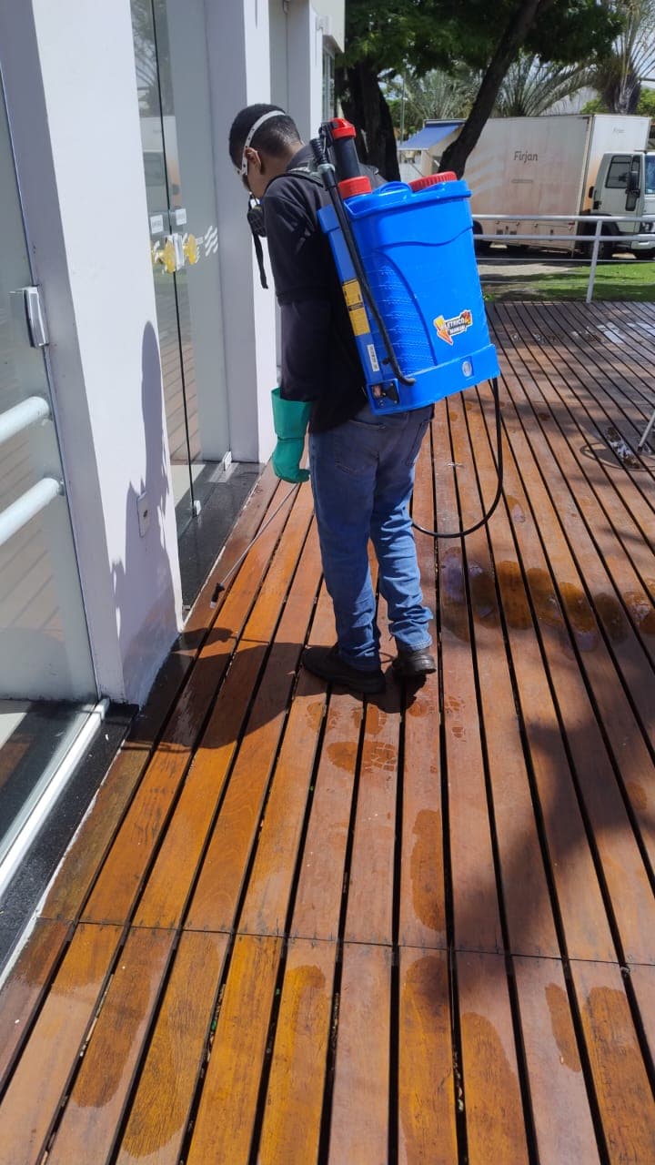 Dedetização de roedores em Campos dos Goytacaze