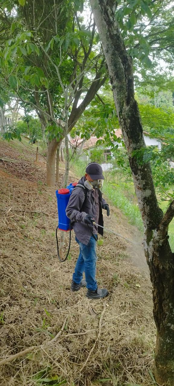 Dedetização em área externa em Campos dos Goytacazes - técnico aplicando produto